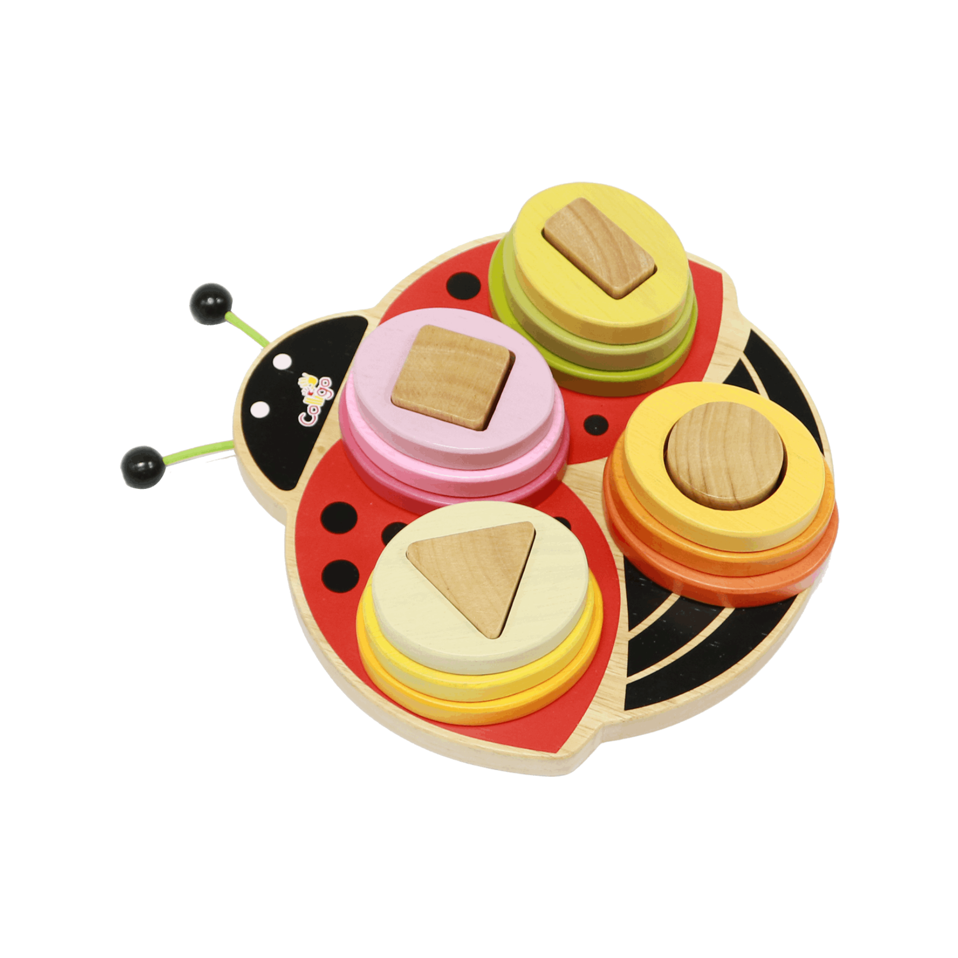 Lady bug shape sorter